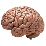 parkinson